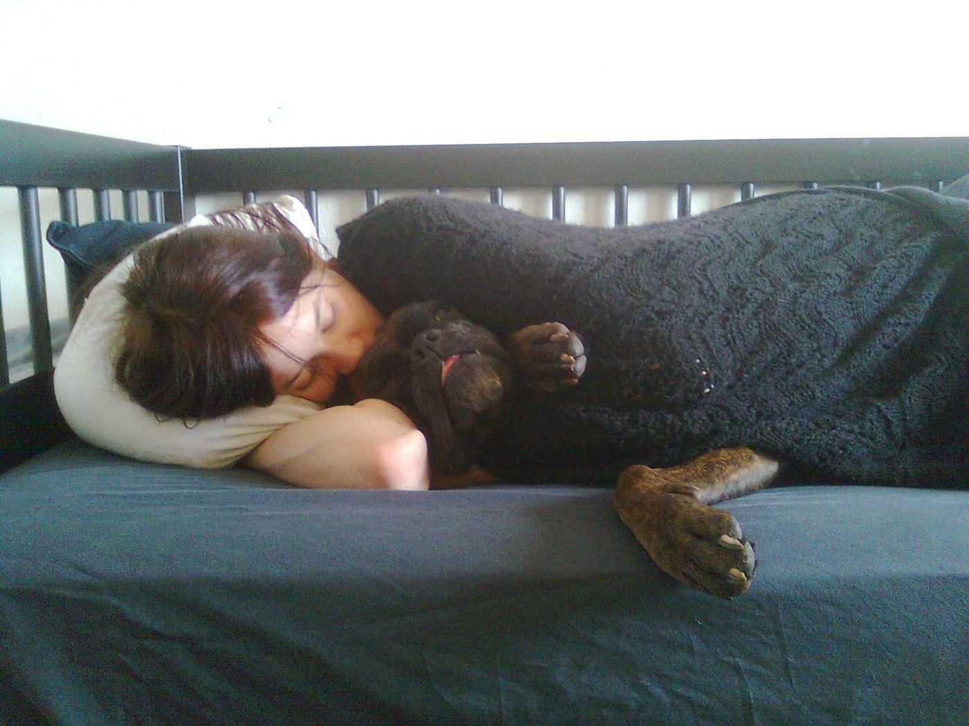 Why Doomscrolling Feels the Same Everywhere A person asleep in bed at night with a dog resting nearby
